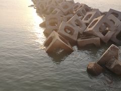 -东疆建设开发纪念公园