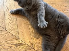 -Me Coffee下午茶艺术空间