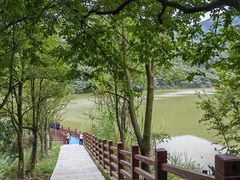 -黄埔油麻山森林公园