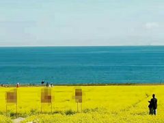 -青海湖国家重点风景名胜区