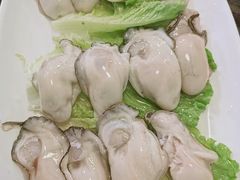 -蚝专家