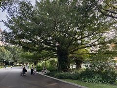 -南宁南湖公园