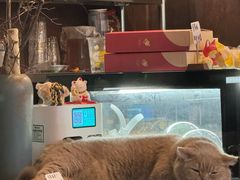 -MIMO CAFE(沙头角店)