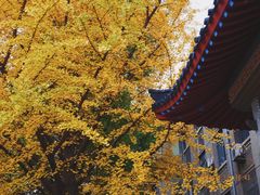 -山东大学(趵突泉校区)