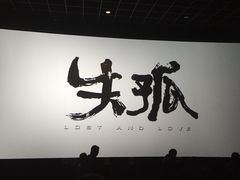 耀莱成龙国际影城(合肥店)-华联影城(蒙城路店)