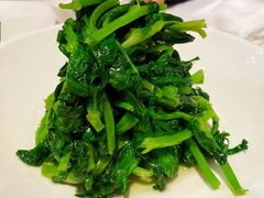 高山豆苗-南麓·浙里(外滩店)