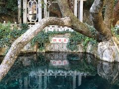 -蝴蝶泉公园