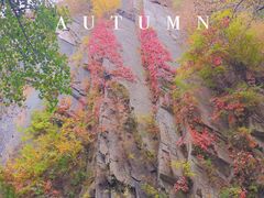 -百里山水画廊