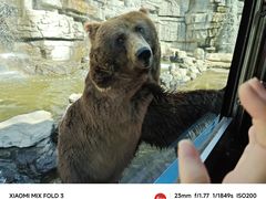 -北京野生动物园