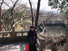 -雨花胜境