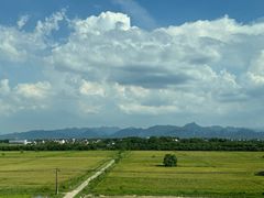 -田波泡椒牛蛙(巴丽新地店)