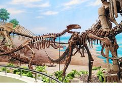 -延庆地质公园博物馆