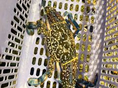 -四海之家(蛇口店)