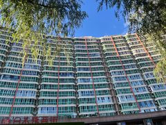 -老三羊汤【北兴隆街店】