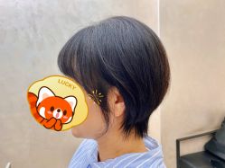 -意念造型
