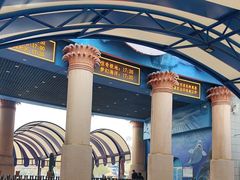 -华夏文旅海洋公园