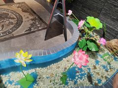 -欠火锅·水牛毛肚·团建聚餐·生日宴(何山路店)