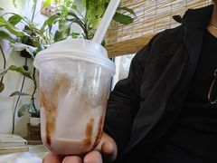 -吉丁鸟咖·异宠·寄养