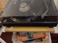 -树懒黑胶唱片店(中山路店)