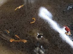 -鼎好家常菜(天桥店)