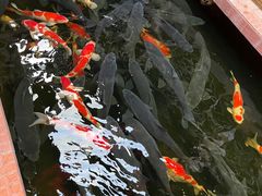 景观位-侠成水上农庄(工业大道店)