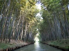 -同里国家湿地公园