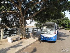 -大湾区中央湿地公园