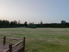 -东平国家森林公园