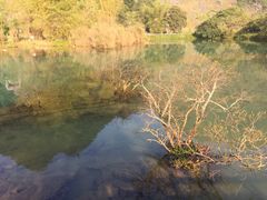 -靖西鹅泉风景区