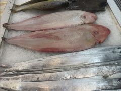 -金沙滩海鲜餐厅·海肠捞饭·手工水饺·无预制菜(梅江龙水园店)