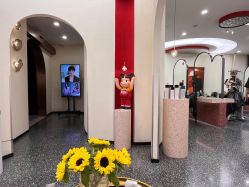 -IP SALON