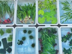 -华声天桥民俗文化园