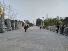 -重庆市江北嘴中央商务区中央公园