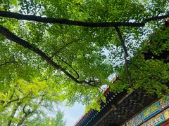 -红螺寺