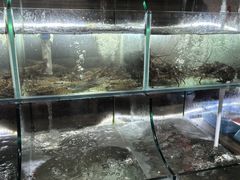 -罗源湾8号渔排