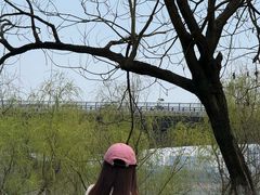 -洋湖国家湿地公园