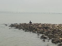 -深圳湾公园(南山区)