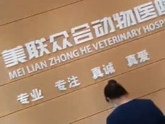 -美联众合动物医院·24h京西诊疗中心