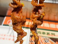 -邢氏老太太烤串(北兴街店)