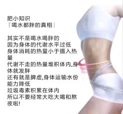 -香薇妮丝女子减肥院