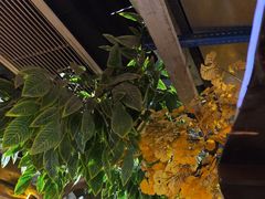 -城墙拐拐火锅(三峡广场黑金冠店)