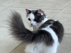 -怪兽屋·羊驼·猫咖·狗咖(俊华广场店)