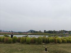 -径山花海