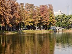-四海公园(南山区)