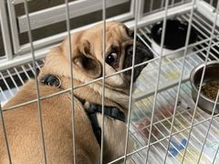 -阿莉餐厅(枣阳路店)