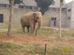 -石家庄市动物园