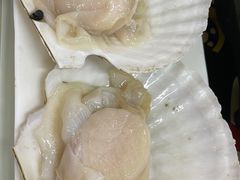 扇贝-吉友粥底火锅(方斜路店)