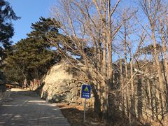 -阳台山自然风景区