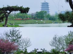 -西安世博园