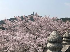 -苏州上方山国家森林公园